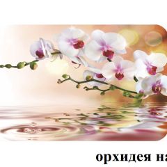 БОСТОН - 2 опоры Брифинг в Добрянке - dobryanka.mebel24.online | фото 4