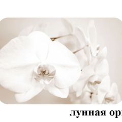 БОСТОН - 2 опоры Брифинг в Добрянке - dobryanka.mebel24.online | фото 25