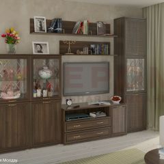 Гостиная Карина Композиция 22 (Акация Молдау) в Добрянке - dobryanka.mebel24.online | фото