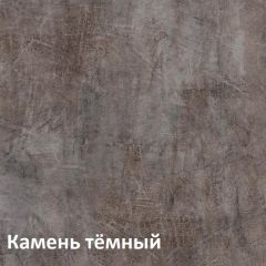 Крафт Полка для обуви 15.63 в Добрянке - dobryanka.mebel24.online | фото 4