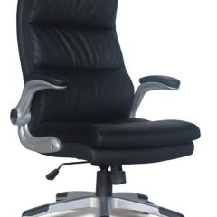 Кресло офисное BRABIX "Fregat EX-510" (рециклированная кожа, черное) 530863 в Добрянке - dobryanka.mebel24.online | фото 1