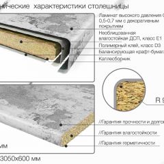 Кухонный фартук со столешницей (А-09) в едином стиле (3050 мм) в Добрянке - dobryanka.mebel24.online | фото 6