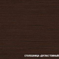 Кухонный гарнитур Полина стандарт 1600 в Добрянке - dobryanka.mebel24.online | фото 12