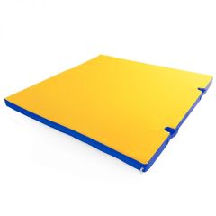 Мат гимнастический 1х1х0,05м с вырезом под стойки цв. синий-желтый в Добрянке - dobryanka.mebel24.online | фото 1