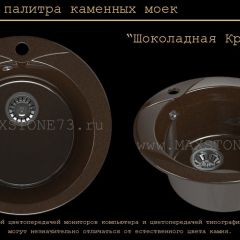 Мойка кухонная MS-1 (D470) в Добрянке - dobryanka.mebel24.online | фото 11