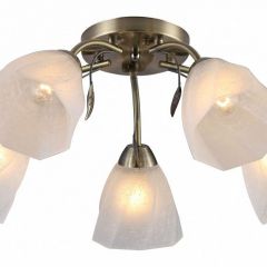 Потолочная люстра Rivoli Olivia Б0052693 в Добрянке - dobryanka.mebel24.online | фото