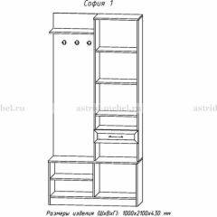 Прихожая София 1 в Добрянке - dobryanka.mebel24.online | фото 3