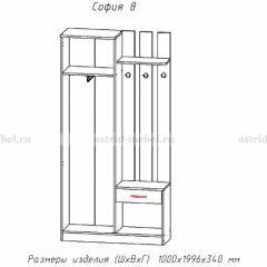 Прихожая София 8 в Добрянке - dobryanka.mebel24.online | фото 2