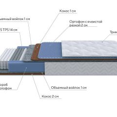 PROxSON Матрас Active Duo M/F (Ткань Трикотаж Эко) 140x200 в Добрянке - dobryanka.mebel24.online | фото 6