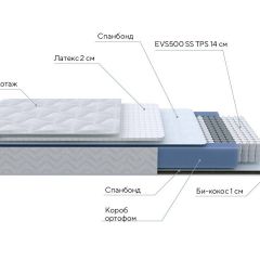 PROxSON Матрас Active Duo S/F (Ткань Трикотаж Эко) 80x195 в Добрянке - dobryanka.mebel24.online | фото 7