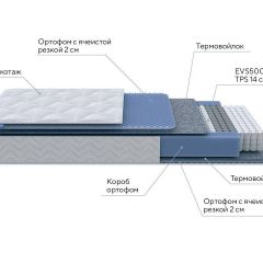 PROxSON Матрас Active M Roll (Ткань Трикотаж Эко) 120x190 в Добрянке - dobryanka.mebel24.online | фото 7