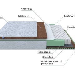 PROxSON Матрас Green Duo M/F (Tricotage Dream) 80x200 в Добрянке - dobryanka.mebel24.online | фото