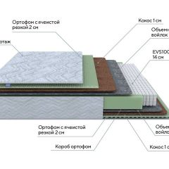 PROxSON Матрас Green M (Tricotage Dream) 120x190 в Добрянке - dobryanka.mebel24.online | фото 7