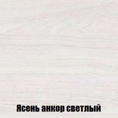Шкаф 2-х створчатый МСП-1 (Ясень Анкор светлый) в Добрянке - dobryanka.mebel24.online | фото 4