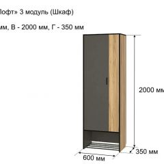 ОЛЬГА-ЛОФТ 3 Шкаф 2-х створчатый в Добрянке - dobryanka.mebel24.online | фото 4