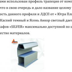 Шкаф-купе 1500 серии SILVER S1+S1+B2+PL2 (2 ящика+1 штанга+1 полка) профиль «Серебро» в Добрянке - dobryanka.mebel24.online | фото 4
