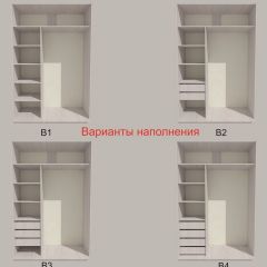 Шкаф-купе 1500 серии SILVER S1+S1+B2+PL2 (2 ящика+1 штанга+1 полка) профиль «Серебро» в Добрянке - dobryanka.mebel24.online | фото 5