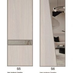 Шкаф-купе 1500 серии SILVER S1+S1+B2+PL2 (2 ящика+1 штанга+1 полка) профиль «Серебро» в Добрянке - dobryanka.mebel24.online | фото 11
