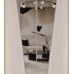 Шкаф-купе 1500 серии SILVER S1+S1+B2+PL2 (2 ящика+1 штанга+1 полка) профиль «Серебро» в Добрянке - dobryanka.mebel24.online | фото 12