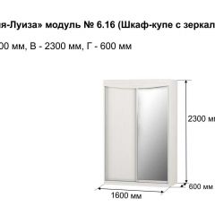 Шкаф-купе 1600 с зеркалом "Мария-Луиза 6.16" в Добрянке - dobryanka.mebel24.online | фото 4