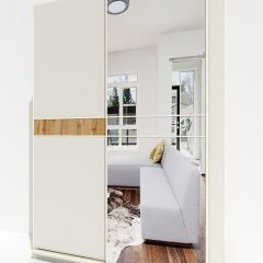 Шкаф-купе 1600 серии SOFT D6+D4+B2+PL2 (2 ящика+1штанга+1 полка) профиль «Капучино» в Добрянке - dobryanka.mebel24.online | фото 2