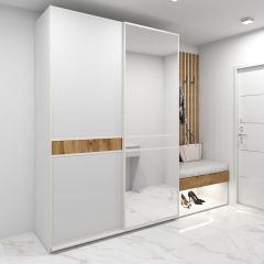 Шкаф-купе 1600 серии SOFT D6+D4+B2+PL2 (2 ящика+1штанга+1 полка) профиль «Капучино» в Добрянке - dobryanka.mebel24.online | фото 5