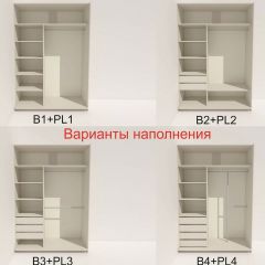 Шкаф-купе 1600 серии SOFT D6+D4+B2+PL2 (2 ящика+1штанга+1 полка) профиль «Капучино» в Добрянке - dobryanka.mebel24.online | фото 7