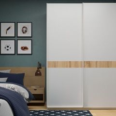 Шкаф-купе 1600 серии SOFT D6+D6+B2+PL3 (2 ящика+2штанги) профиль «Капучино» в Добрянке - dobryanka.mebel24.online | фото 5
