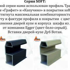 Шкаф-купе 1600 серии SOFT D6+D6+B2+PL3 (2 ящика+2штанги) профиль «Капучино» в Добрянке - dobryanka.mebel24.online | фото 12