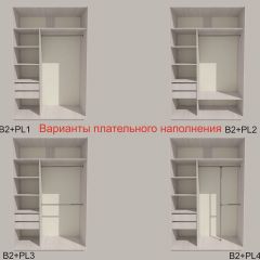 Шкаф-купе 1700 серии SILVER S1+S1+B2+PL2 (2 ящика+1 штанга+1 полка) профиль «Серебро» в Добрянке - dobryanka.mebel24.online | фото 6