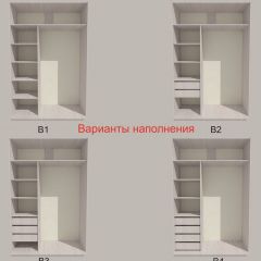 Шкаф-купе 1700 серии SILVER S3+S4+B2+PL4 (2 ящика+F обр.штанга) профиль «Серебро» в Добрянке - dobryanka.mebel24.online | фото 5