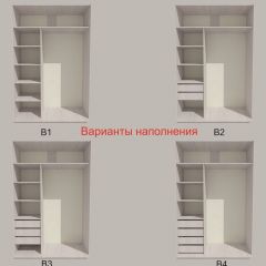 Шкаф-купе 1700 серии SILVER S4+S3Z+B2+PL1 (2 ящика+1 штанга) профиль «Серебро» в Добрянке - dobryanka.mebel24.online | фото 5