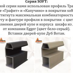 Шкаф-купе 2100 серии SOFT D4+D4+D4+B22+PL1 (по 2 ящика лев/прав+1штанга) профиль «Графит» в Добрянке - dobryanka.mebel24.online | фото 12