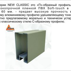 Шкаф-купе 2150 серии NEW CLASSIC K6Z+K1+K6+B22+PL1 (по 2 ящика лев/прав+1 штанга) профиль «Капучино» в Добрянке - dobryanka.mebel24.online | фото 17