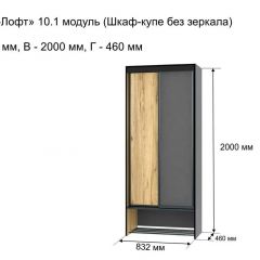 ОЛЬГА-ЛОФТ 10.1 Шкаф-купе без зеркала в Добрянке - dobryanka.mebel24.online | фото 3