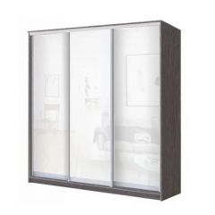 Шкаф-купе ХИТ 22-20/2-888 (620) в Добрянке - dobryanka.mebel24.online | фото 9