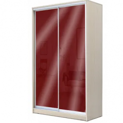 Шкаф-купе ХИТ 22-4-12/2-22 (420) в Добрянке - dobryanka.mebel24.online | фото 9