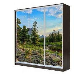 Шкаф-купе ХИТ 23-4-18-777 (420) в Добрянке - dobryanka.mebel24.online | фото 1