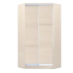 Шкаф-купе ХИТ-У-22-4-11 в Добрянке - dobryanka.mebel24.online | фото 5