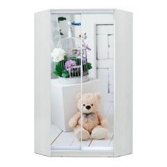 Шкаф-купе ХИТ-У-23-4-77 в Добрянке - dobryanka.mebel24.online | фото