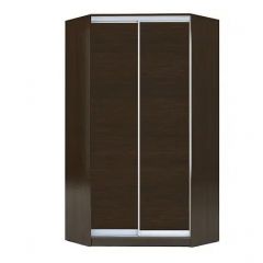 Шкаф-купе ХИТ-У-L-23-64-11 в Добрянке - dobryanka.mebel24.online | фото