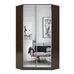 Шкаф-купе ХИТ-У-L-23-64-55 в Добрянке - dobryanka.mebel24.online | фото 1
