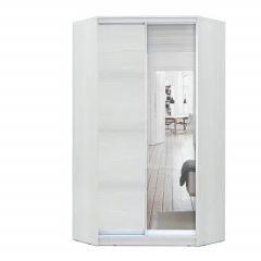 Шкаф-купе ХИТ-У-L-24-64-15 в Добрянке - dobryanka.mebel24.online | фото