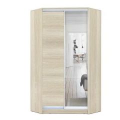 Шкаф-купе ХИТ-У-L-24-64-15 в Добрянке - dobryanka.mebel24.online | фото 8