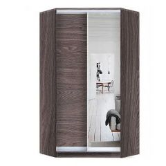 Шкаф-купе ХИТ-У-L-24-64-15 в Добрянке - dobryanka.mebel24.online | фото 11