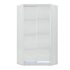 Шкаф-купе ХИТ-У-R-24-64-11 в Добрянке - dobryanka.mebel24.online | фото