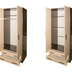 Шкаф распашной ПШ-3.8 в Добрянке - dobryanka.mebel24.online | фото 2