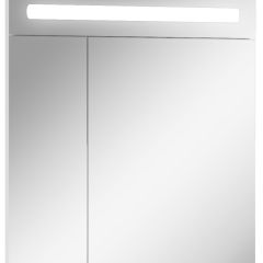 Шкаф-зеркало Аврора 65 с подсветкой LED Домино (DV8006HZ) в Добрянке - dobryanka.mebel24.online | фото