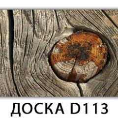 Стол обеденный Трилогия с фотопечатью K-1 в Добрянке - dobryanka.mebel24.online | фото 21