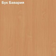 Стол-приставка Логика Л-2.07 (опора "Ронделла") в Добрянке - dobryanka.mebel24.online | фото 2